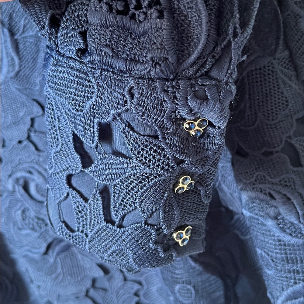 ZARA Guipure Floral Lace Lantern Sleeve Open Back Dress Blue Size Small - Picture 6 of 11